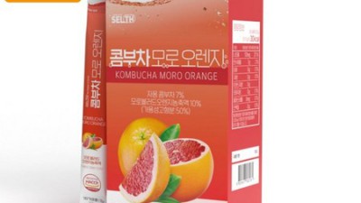 콤부차 파인애플자몽: 내 최애 음료 후기 & 꿀팁 대방출! ✨